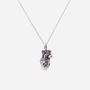 Cuore Anatomico