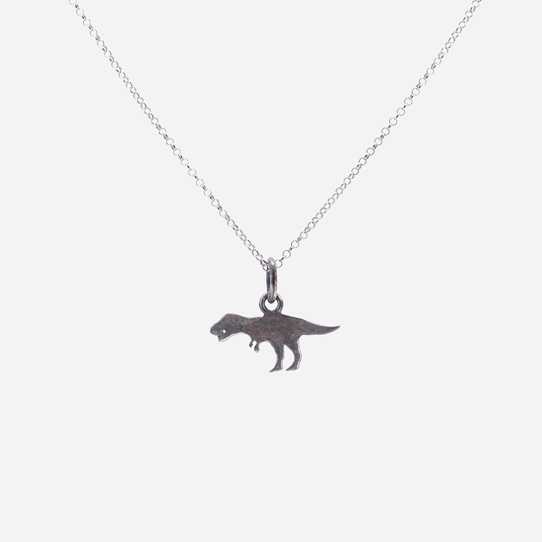 pendenti-collane-massive-pendente-catena-donna-argento-bianco-dino-fronte