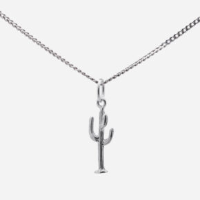 Cactus Texano